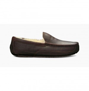 UGG Ascot Kozene Papuce Panske Hnede | SK-492HWCDMA