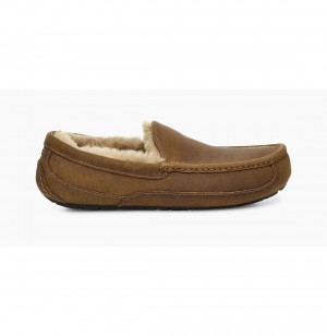 UGG Ascot Matte Kozene Papuce Panske Hnede | SK-487HTOPZD
