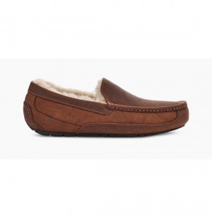 UGG Ascot Matte Kozene Papuce Panske Hnede | SK-046NGQHIO