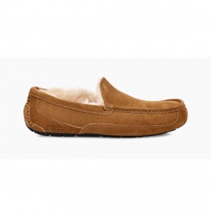 UGG Ascot Papuce Panske Hnede | SK-215BAYQNE