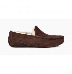 UGG Ascot Papuce Panske Hnede | SK-365NEBFZO