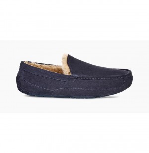 UGG Ascot Papuce Panske Námornícka Modrá | SK-603SXDYAM
