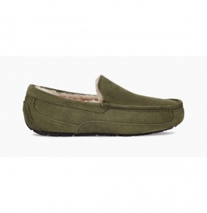 UGG Ascot Papuce Panske Olivovo Zelená | SK-498XTSIZA