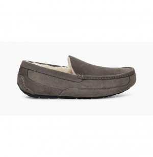 UGG Ascot Papuce Panske Siva | SK-645NBPDJV