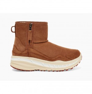 UGG CA805 Klasické Weather Chukka Topanky Panske Hnede | SK-950BUYLKF
