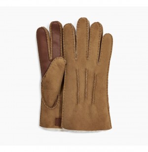 UGG Contrast Sheepskin Tech Rukavice Panske Hnede | SK-826QJDGAE