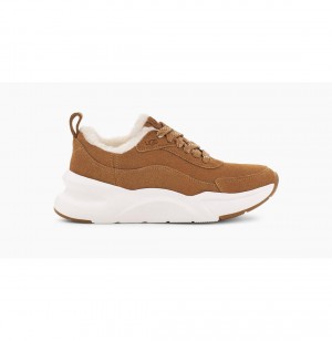 UGG LA Glide Heritage Tenisky Damske Hnede | SK-763KVZIDO