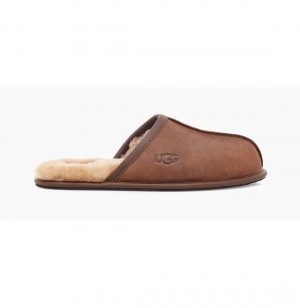 UGG Scuff Kozene Papuce Panske Hnede | SK-268XNOWZH
