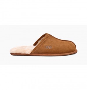 UGG Scuff Papuce Panske Hnede | SK-042JXPSRE
