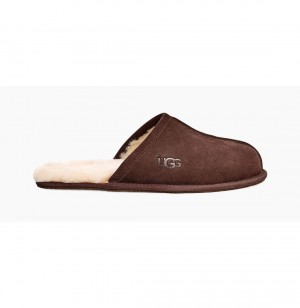 UGG Scuff Papuce Panske Hnede | SK-187QMJGPX