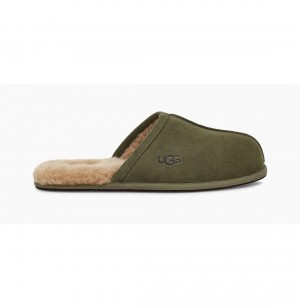 UGG Scuff Papuce Panske Olivovo Zelená | SK-341QLZRAK