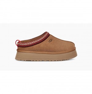 UGG Tazz Platforme Papuce Damske Hnede | SK-129PGZEMT