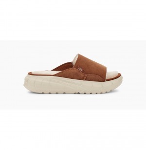 UGG Westsider Slapky Tenisky Damske Hnede | SK-601OZLQMT