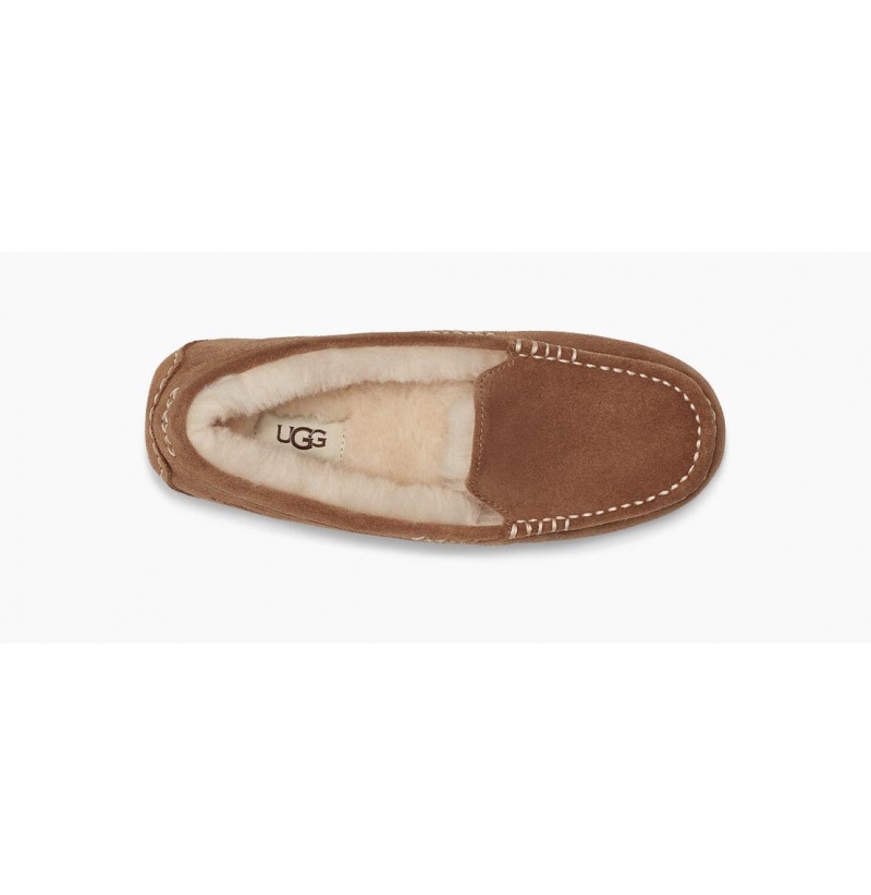 UGG Ansley Papuce Damske Hnede | SK-418IQDROH