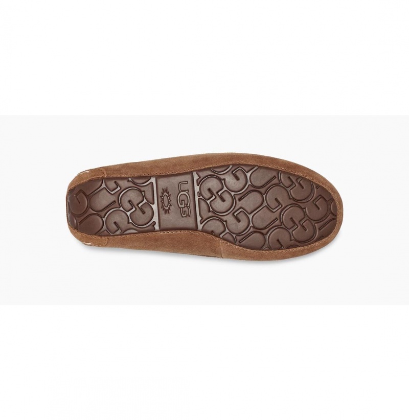 UGG Ansley Papuce Damske Hnede | SK-418IQDROH