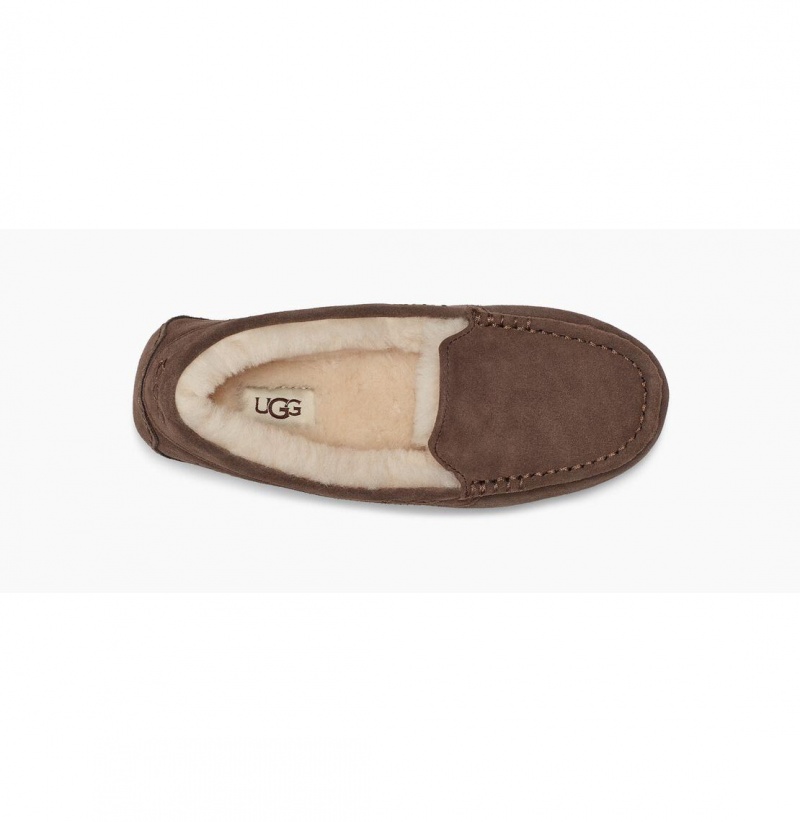 UGG Ansley Papuce Damske Hnede | SK-516OPSNKW