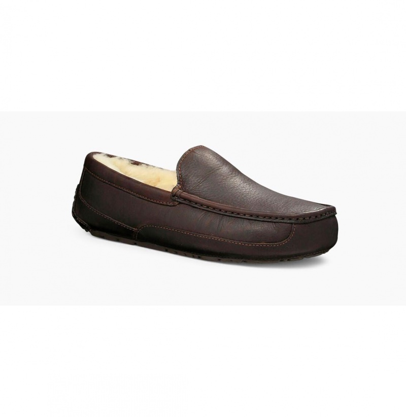 UGG Ascot Kozene Papuce Panske Hnede | SK-492HWCDMA