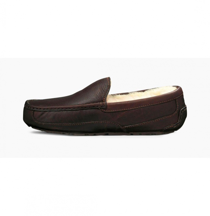 UGG Ascot Kozene Papuce Panske Hnede | SK-492HWCDMA