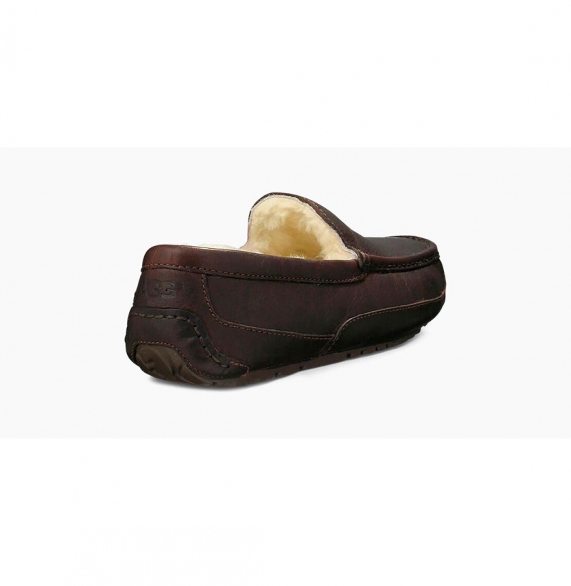 UGG Ascot Kozene Papuce Panske Hnede | SK-492HWCDMA