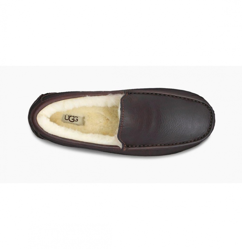 UGG Ascot Kozene Papuce Panske Hnede | SK-492HWCDMA
