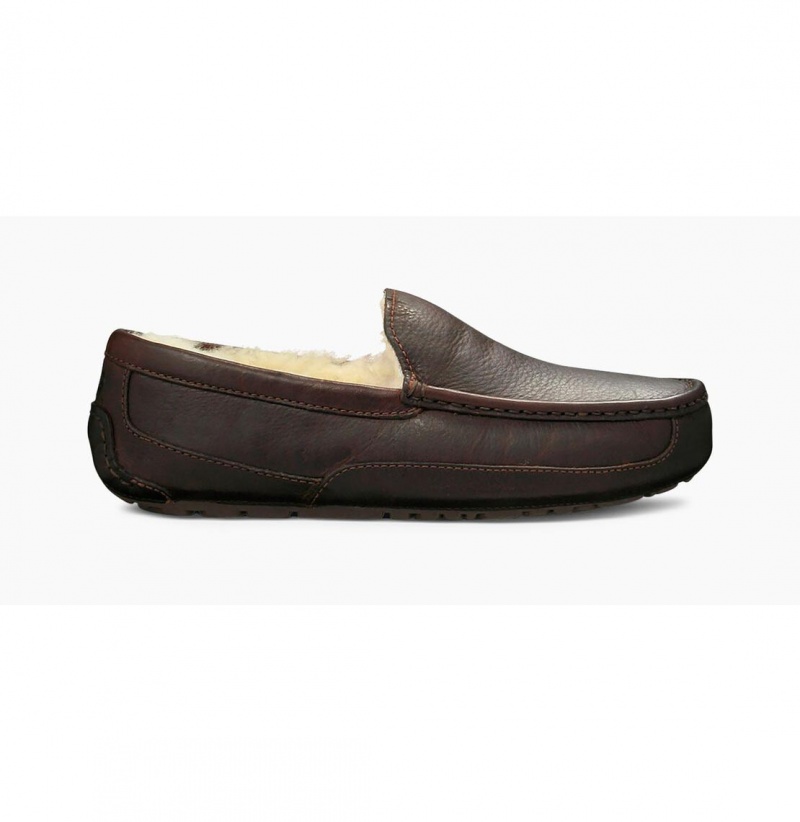 UGG Ascot Kozene Papuce Panske Hnede | SK-492HWCDMA
