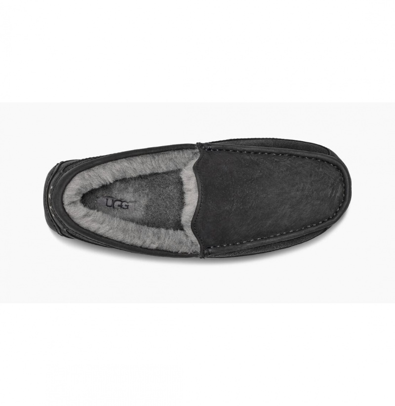 UGG Ascot Matte Kozene Papuce Panske Čierne | SK-493HZBWLA