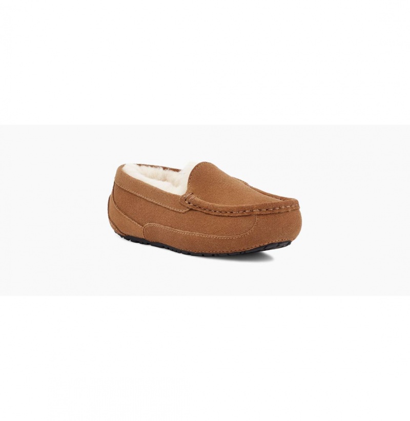 UGG Ascot Papuce Detske Hnede | SK-267JVODCE