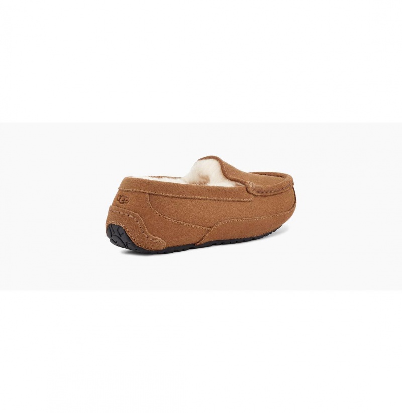 UGG Ascot Papuce Detske Hnede | SK-267JVODCE