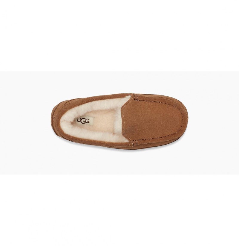 UGG Ascot Papuce Detske Hnede | SK-267JVODCE