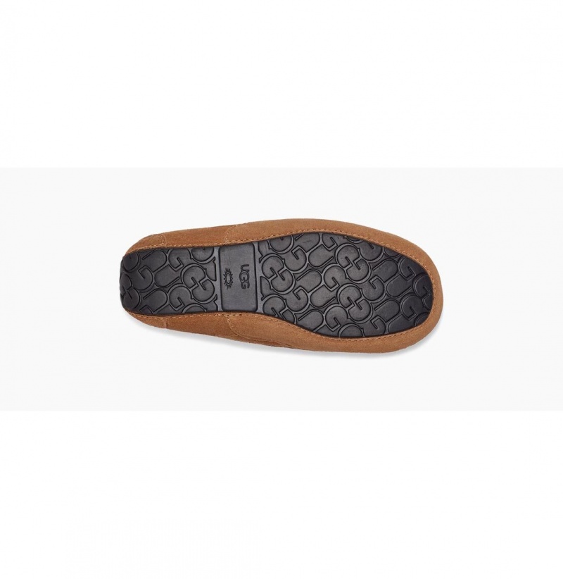 UGG Ascot Papuce Detske Hnede | SK-267JVODCE