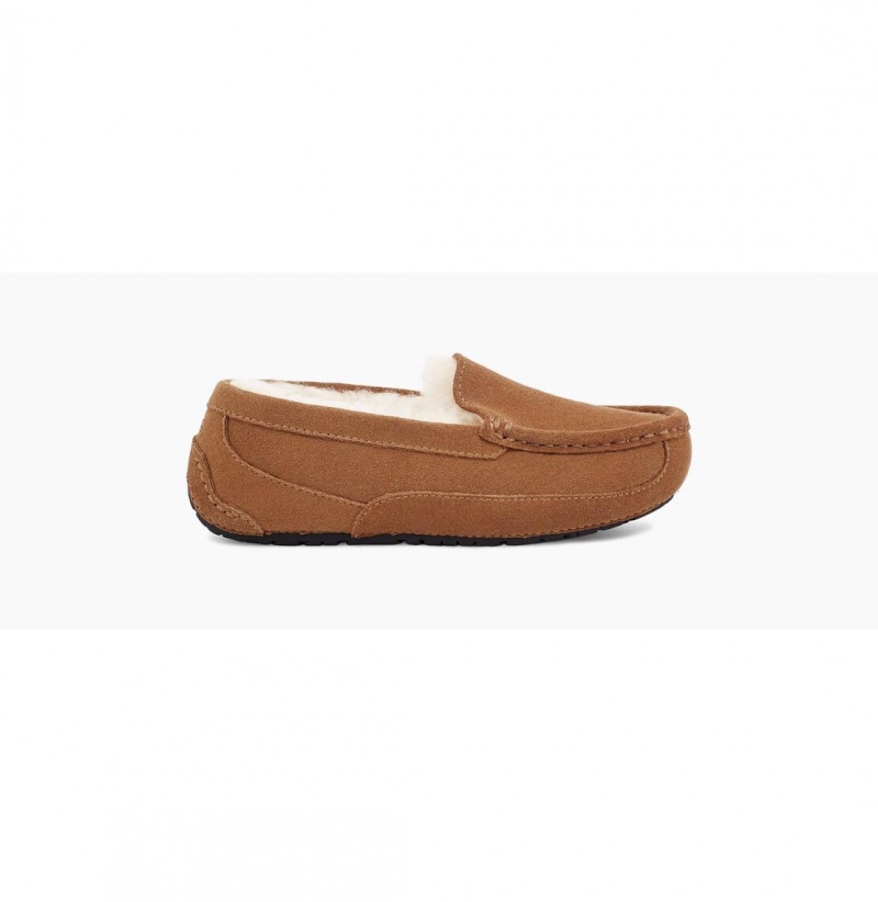 UGG Ascot Papuce Detske Hnede | SK-267JVODCE