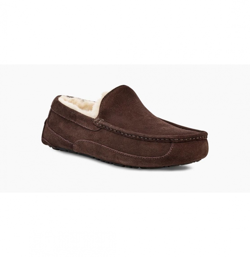 UGG Ascot Papuce Panske Hnede | SK-365NEBFZO