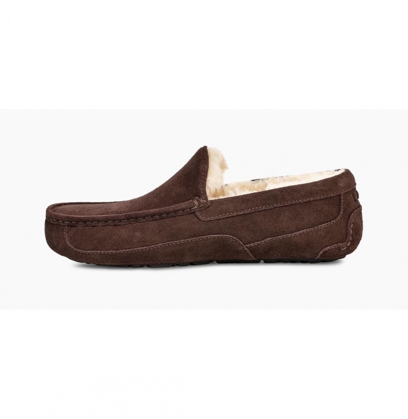 UGG Ascot Papuce Panske Hnede | SK-365NEBFZO