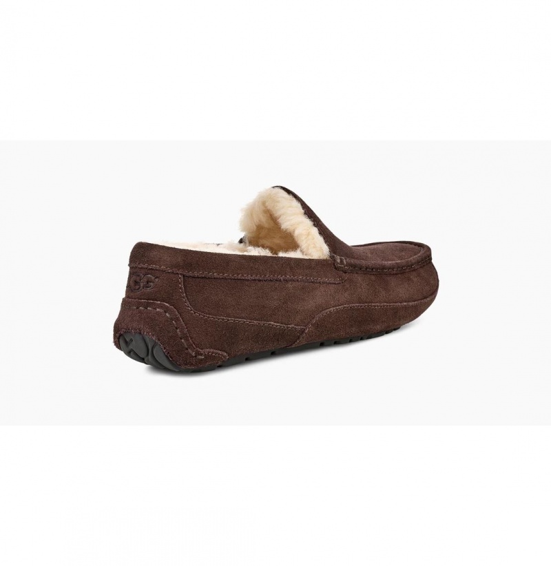 UGG Ascot Papuce Panske Hnede | SK-365NEBFZO