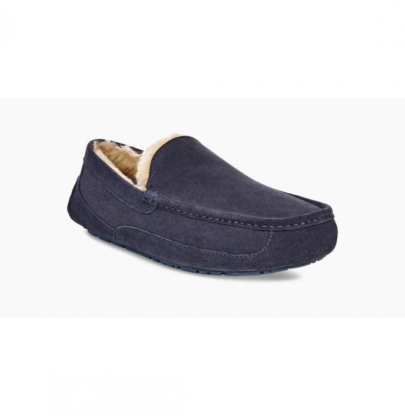 UGG Ascot Papuce Panske Námornícka Modrá | SK-603SXDYAM