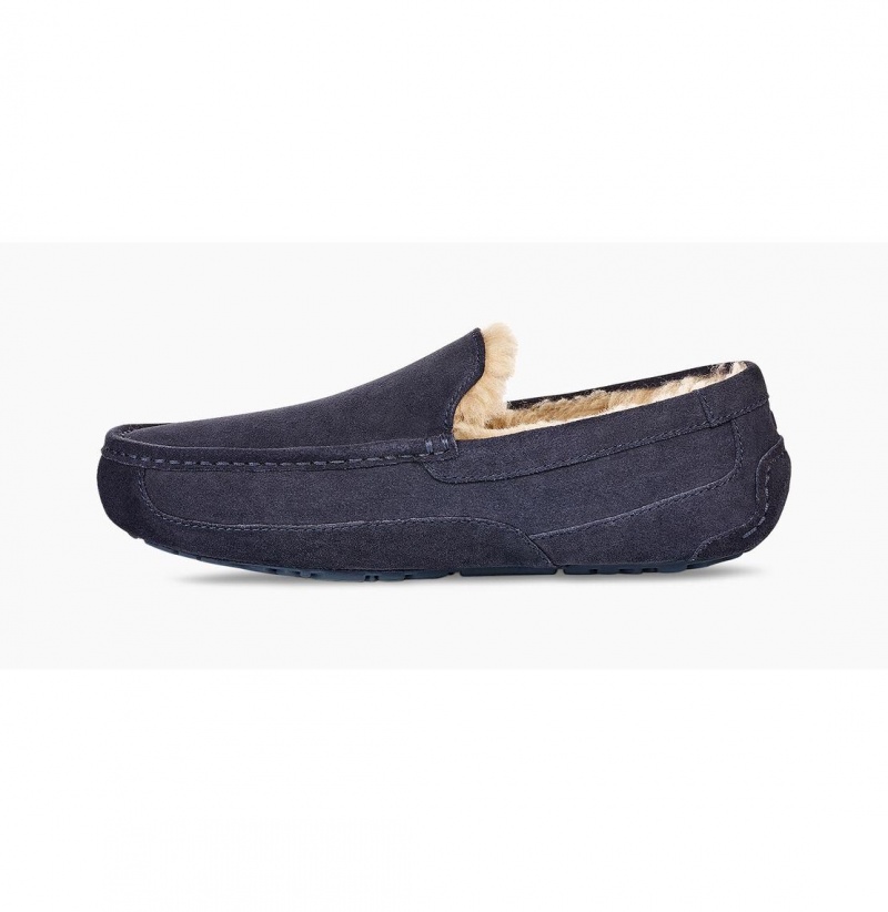 UGG Ascot Papuce Panske Námornícka Modrá | SK-603SXDYAM