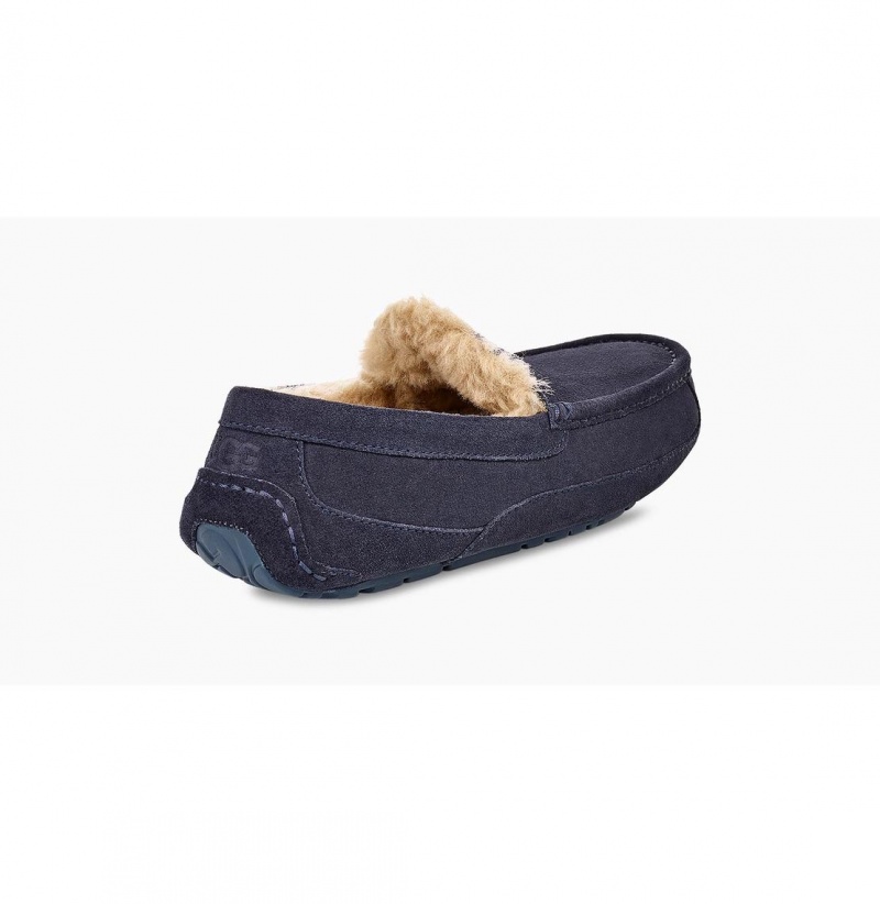 UGG Ascot Papuce Panske Námornícka Modrá | SK-603SXDYAM
