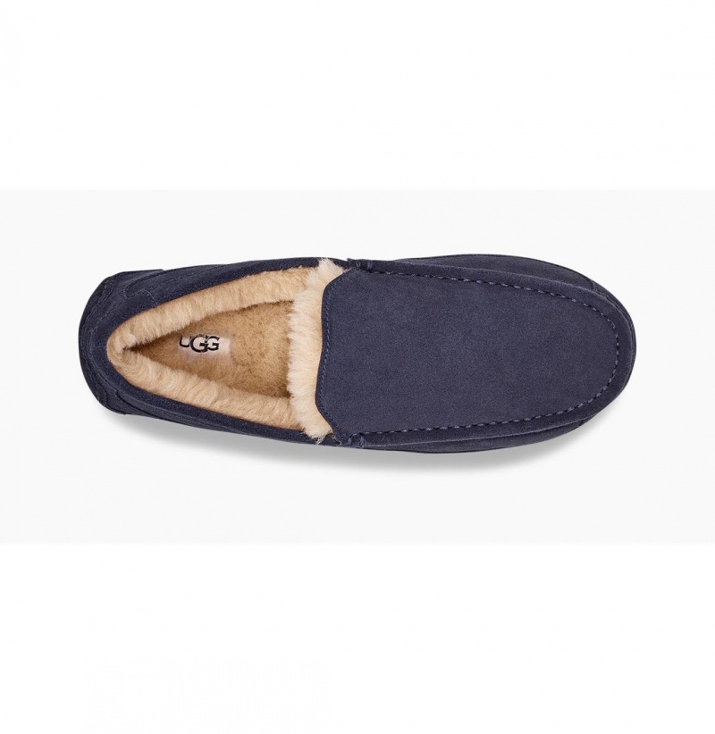 UGG Ascot Papuce Panske Námornícka Modrá | SK-603SXDYAM