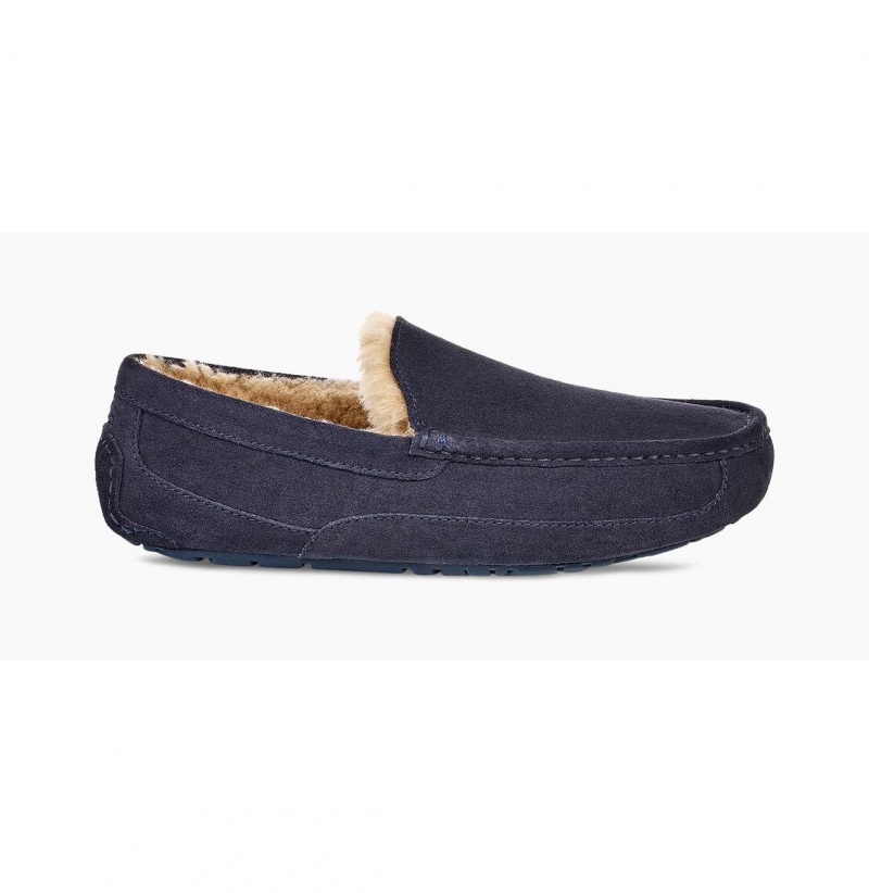 UGG Ascot Papuce Panske Námornícka Modrá | SK-603SXDYAM