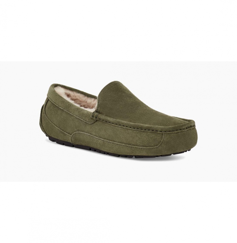 UGG Ascot Papuce Panske Olivovo Zelená | SK-498XTSIZA