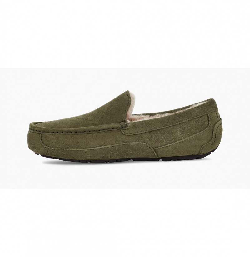 UGG Ascot Papuce Panske Olivovo Zelená | SK-498XTSIZA