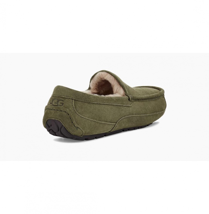 UGG Ascot Papuce Panske Olivovo Zelená | SK-498XTSIZA