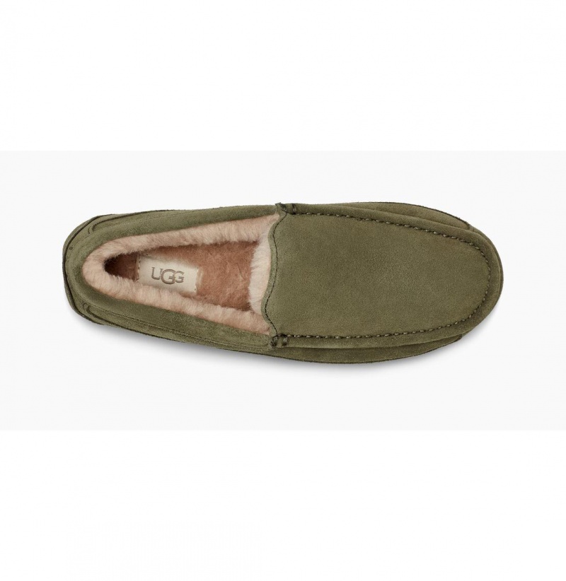 UGG Ascot Papuce Panske Olivovo Zelená | SK-498XTSIZA