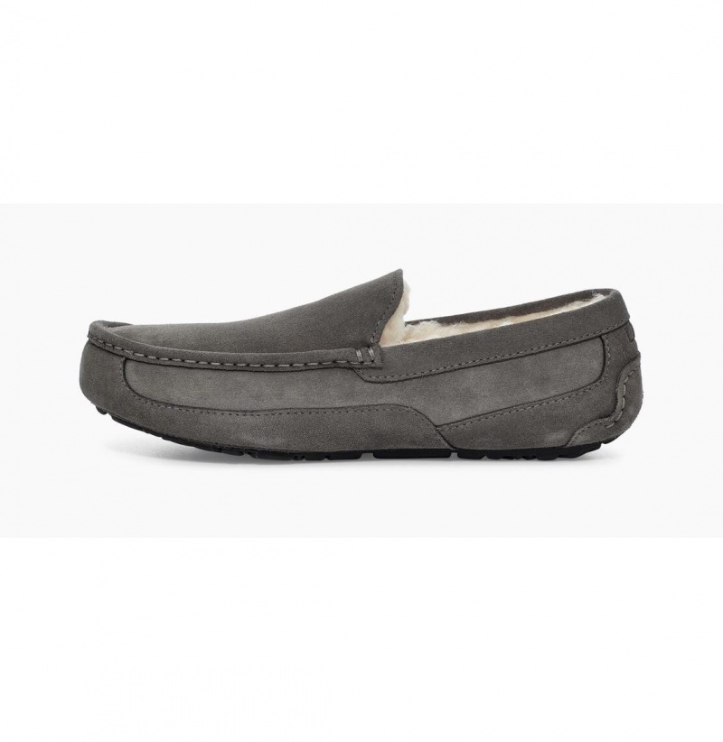 UGG Ascot Papuce Panske Siva | SK-645NBPDJV