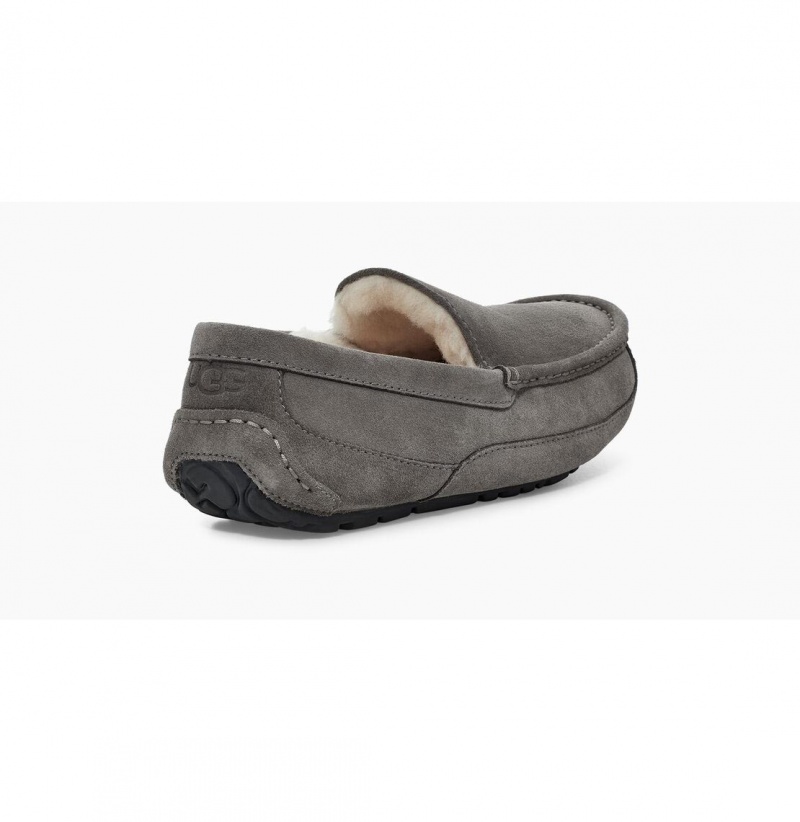 UGG Ascot Papuce Panske Siva | SK-645NBPDJV