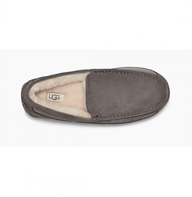 UGG Ascot Papuce Panske Siva | SK-645NBPDJV