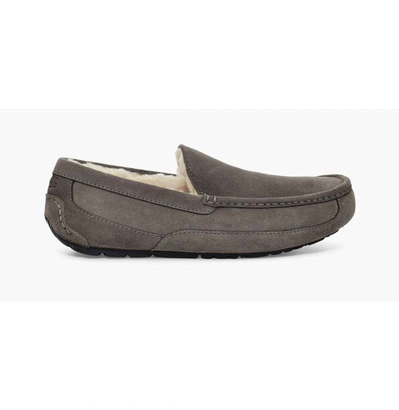 UGG Ascot Papuce Panske Siva | SK-645NBPDJV