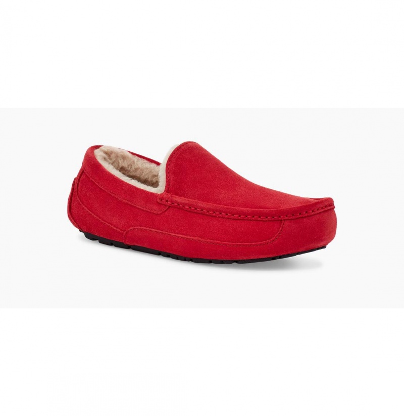 UGG Ascot Papuce Panske Červené | SK-174HIFJKR