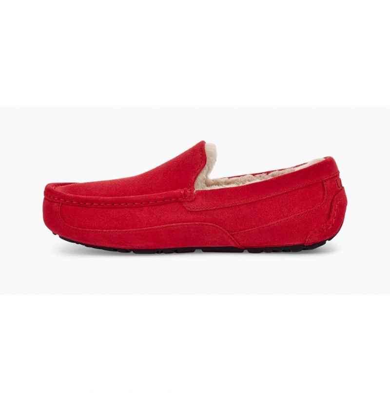 UGG Ascot Papuce Panske Červené | SK-174HIFJKR