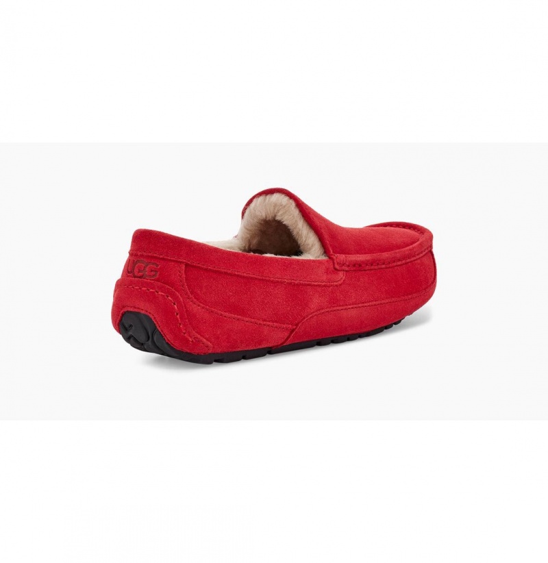 UGG Ascot Papuce Panske Červené | SK-174HIFJKR